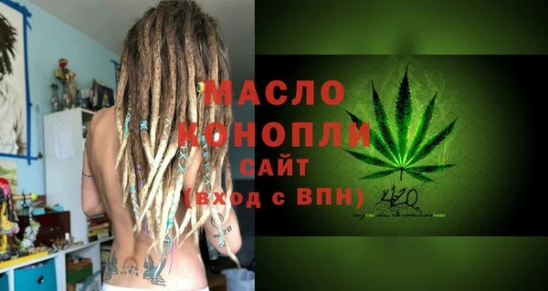 гидра Зеленодольск